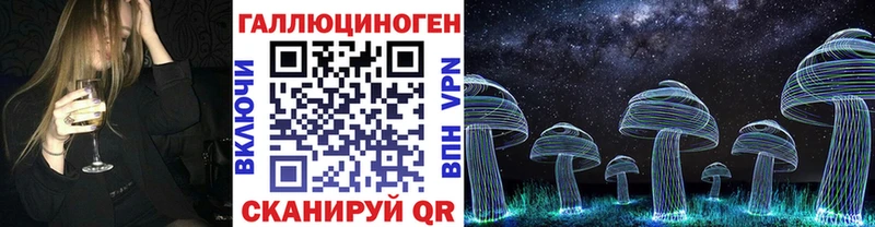 наркотики Гаврилов Посад Псилоцибиновые грибы Magic Shrooms